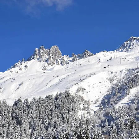 Divisible Skis Aux Pieds, Animaux Admis - Fr-1-182-198 Lejlighed *